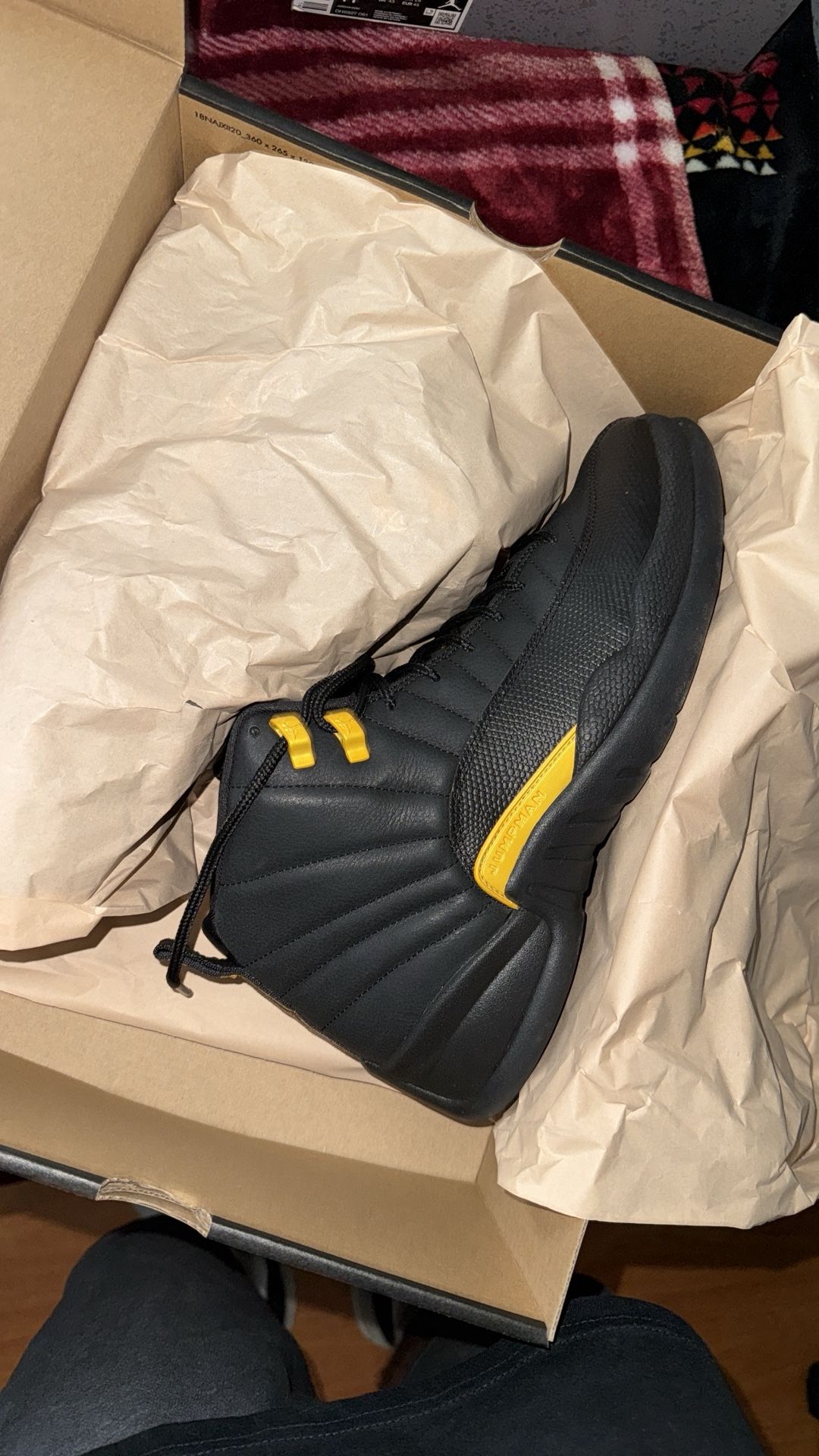 Jordan 11 Taxi