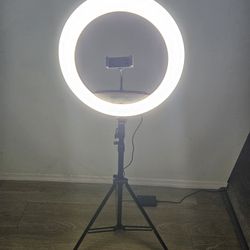 Ring Fill Light 14"