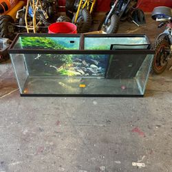55 Gallon Fish Tank Aquarium