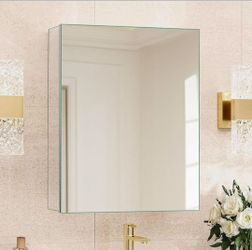 Mirrored Medicine Cabinet Silver Recessed/Wall Mount Soft Close 20x25.1