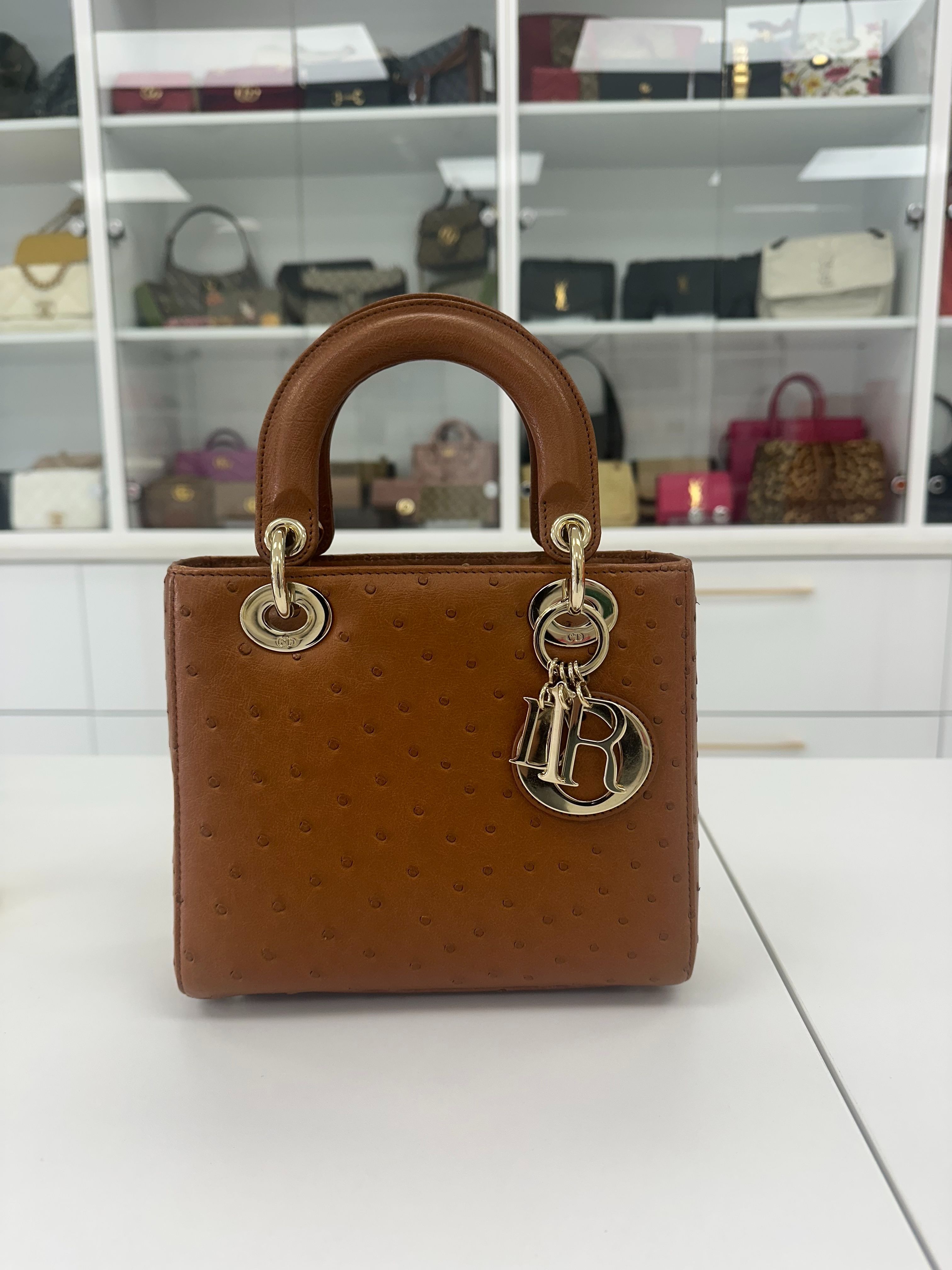 Christian Dior Lady Dior Handbag