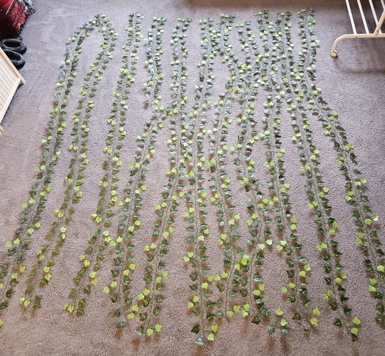 Vine Decorations