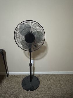 Fan