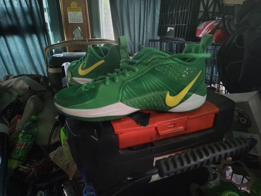 Nike Youth Shoes Brand New Wore One Time That's It.