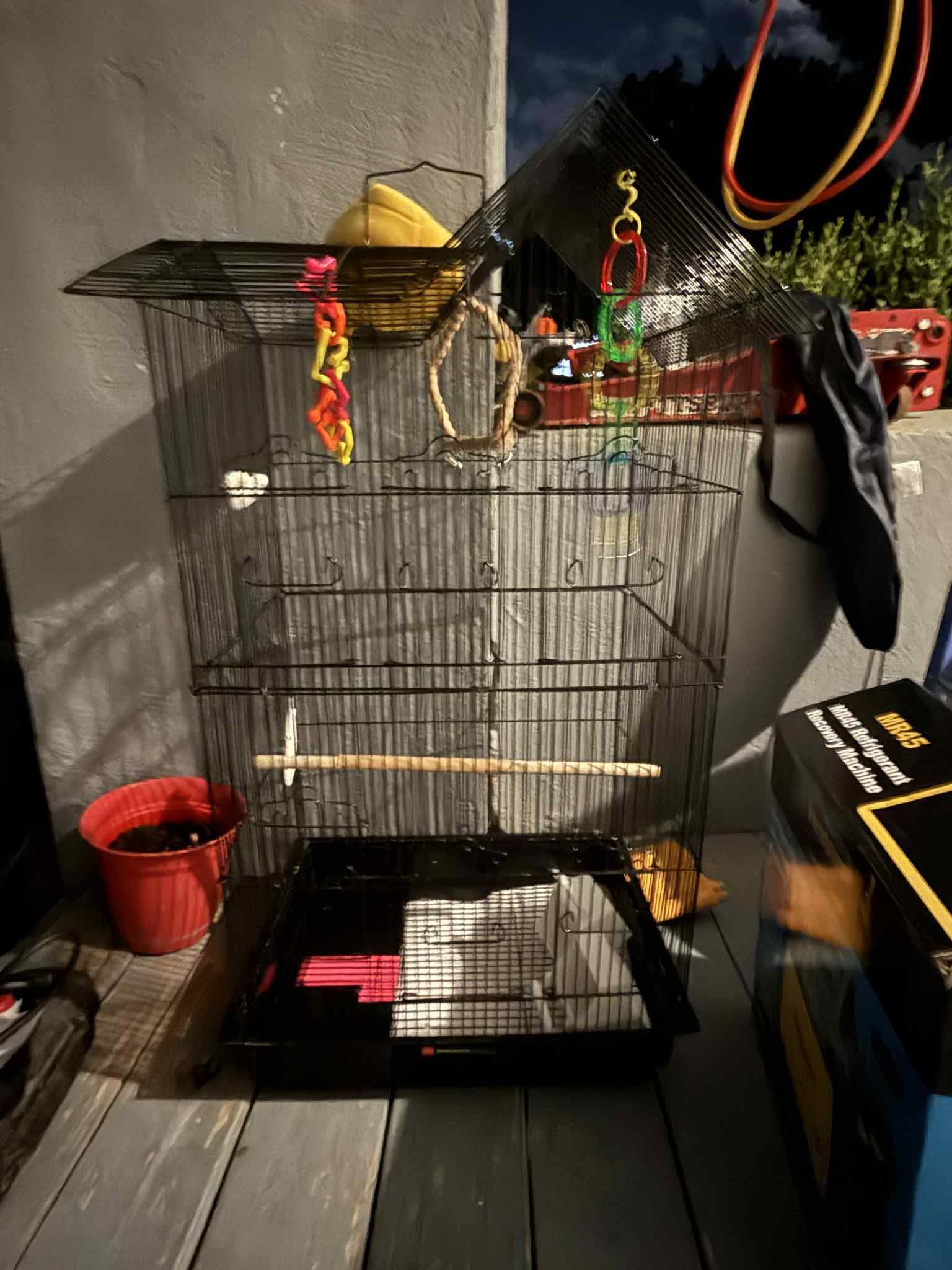 Bird Cage