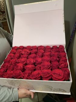 Roses