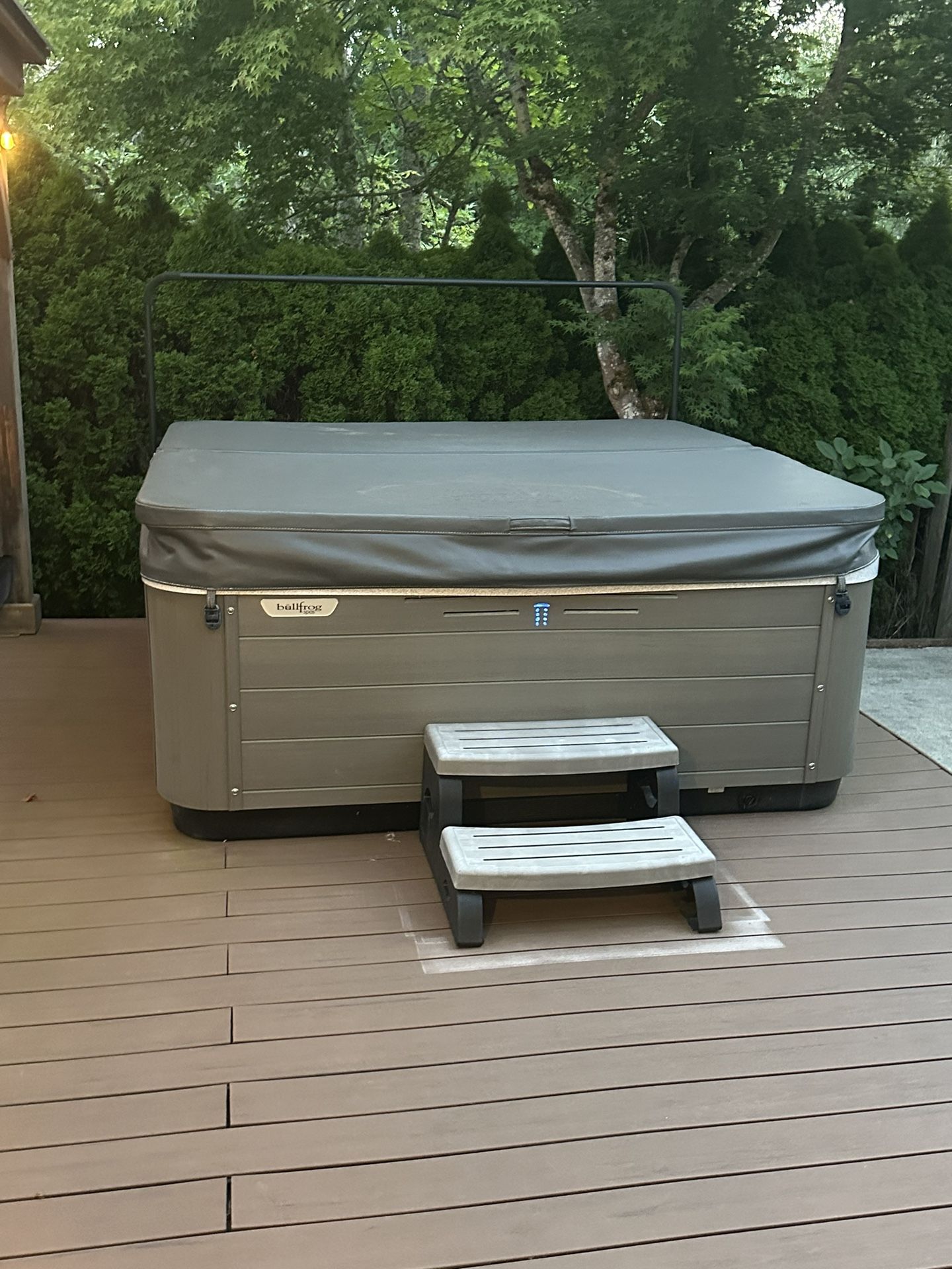 Bullfrog Spas Hot Tub