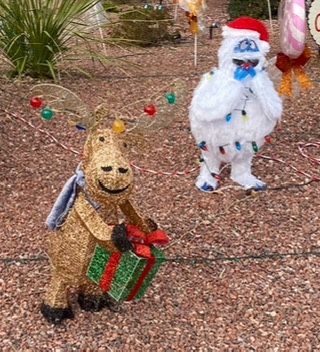 Christmas outdoor lighted decor