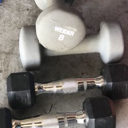 Hand Weights 