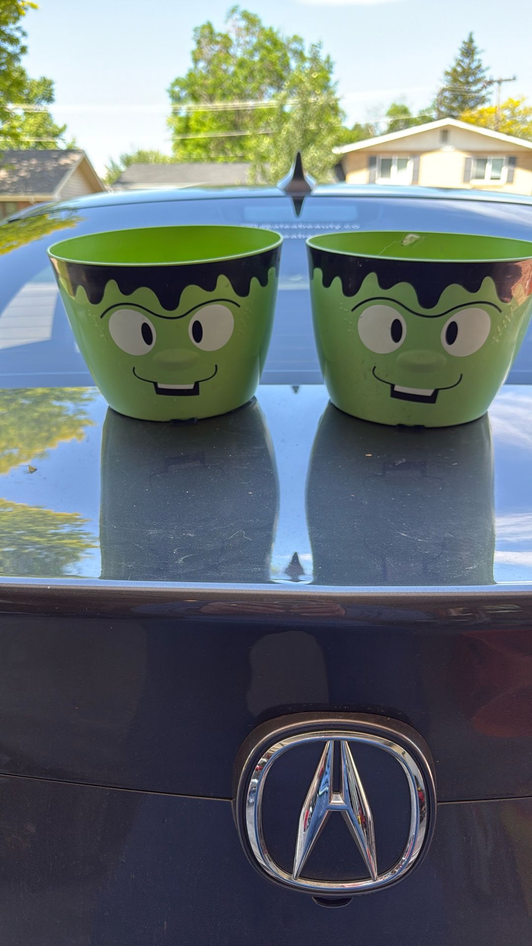 Frankenstein flower Pots