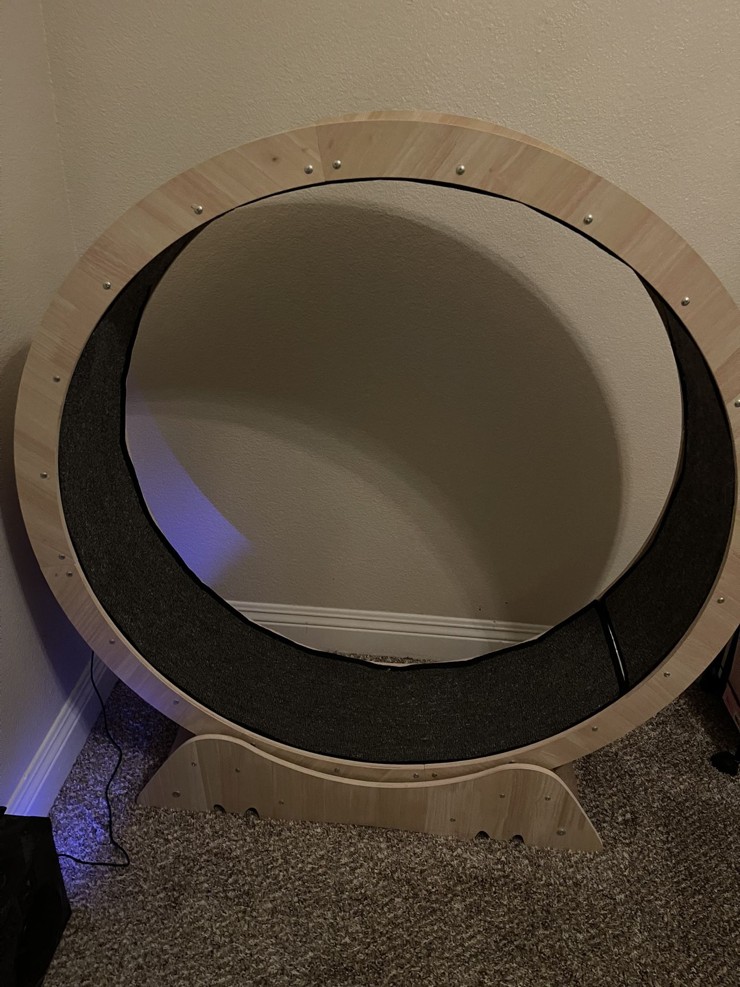 Cat Exercise Wheel