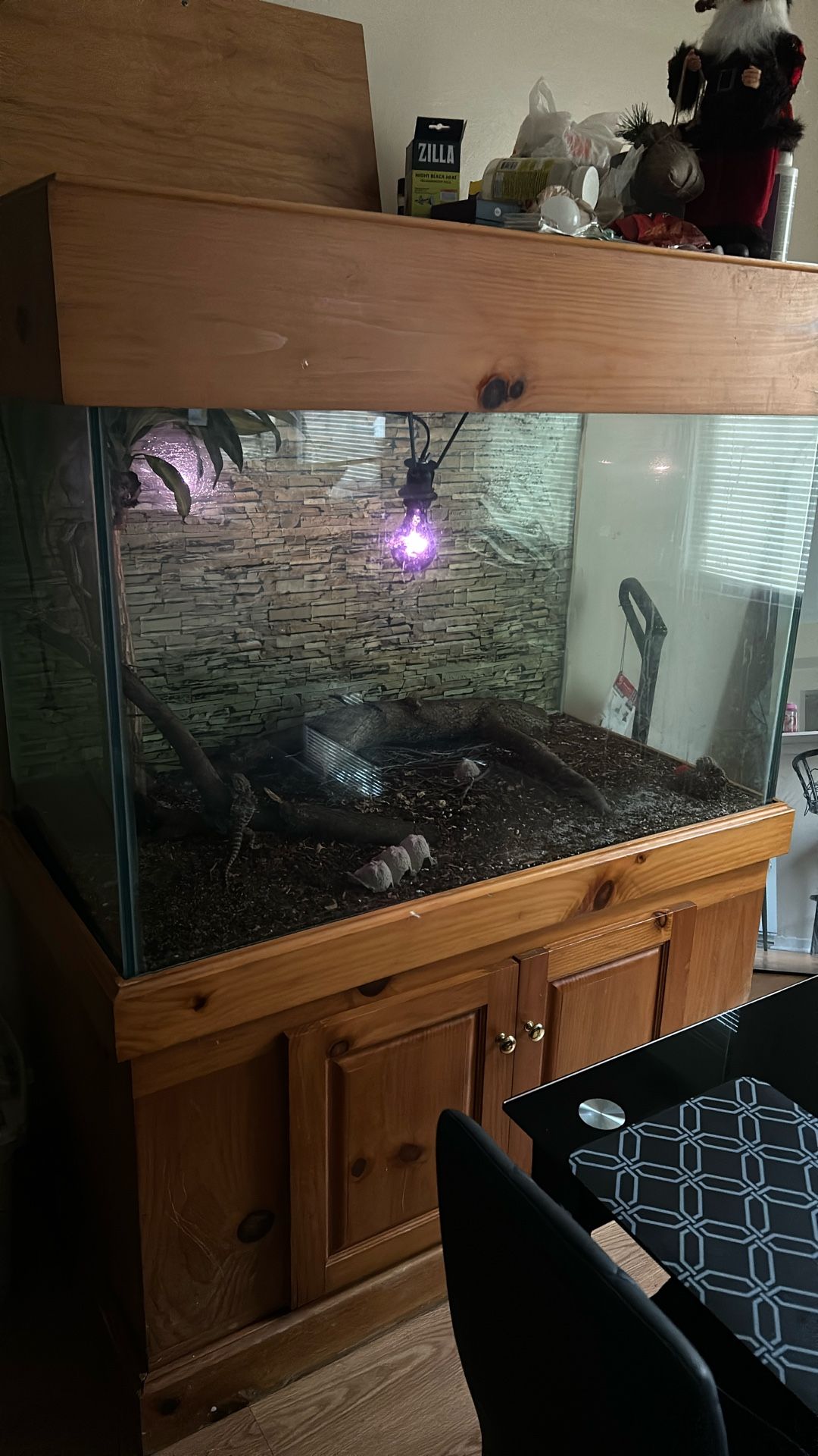 Reptile Tank