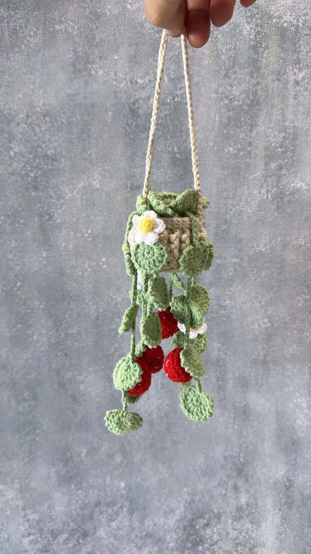 Strawberry Plants Hanging