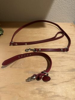 Coach Dog Collar/ Leash Set 