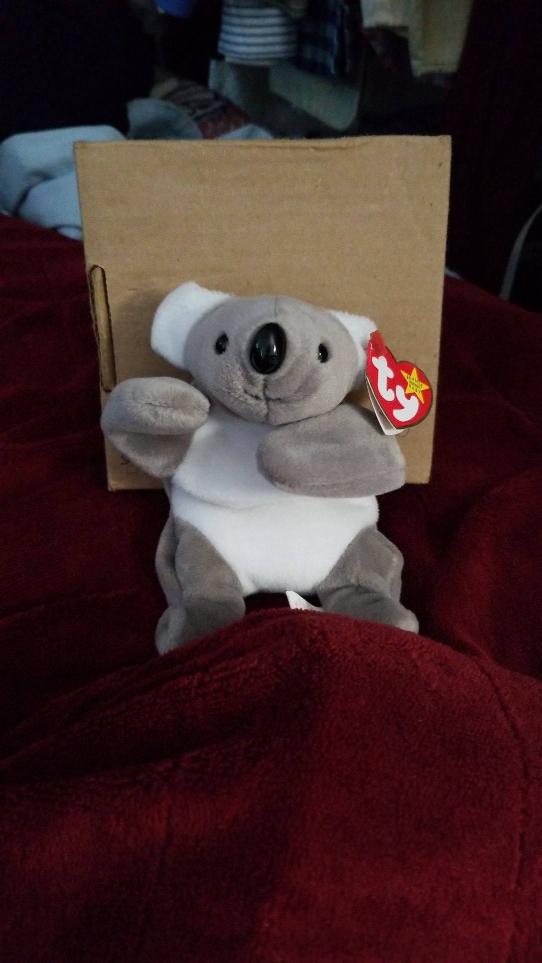 TY Retired Beanie Babies Original "Mel the Koala"