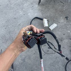Fueltech Ft550 To K Serie Jumper Harnes K20 K24