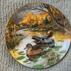 āThe Green-winged Tealā Duck Plate