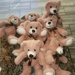 Teddy Bears 🧸 