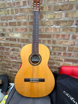 Córdoba protege c1 full size classical guitar