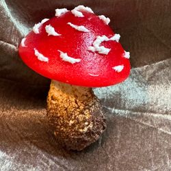 Handmade Realistic Mushroom Fridge Magnet