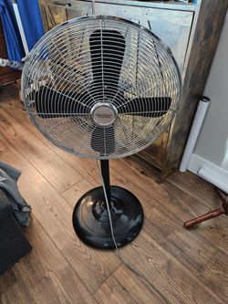 Fan. (Standing)