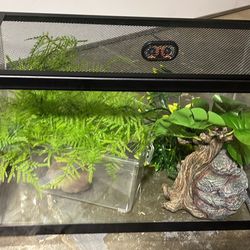 Reptile Enclosure 