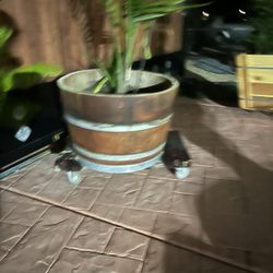 Wine Barrels