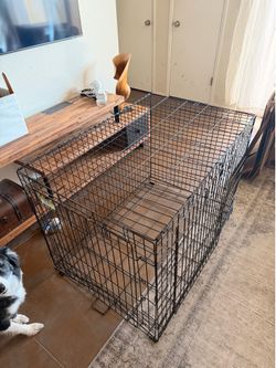 Dog Crate