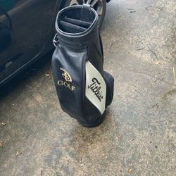Vintage Disney Golf Titleist Cart Bag 