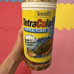 Fish food 