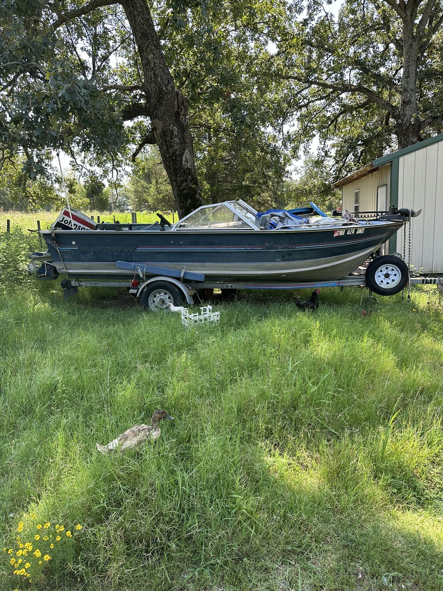 20 ‘ Blue Fin With Trailer And 70 Hp Johnson