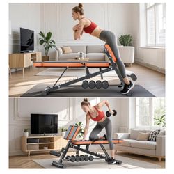 All In One Workout Bench With Dumbbell Rack