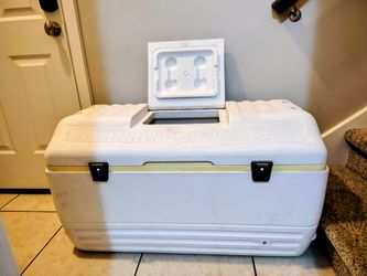 Igloo MaxCold Cooler 165 qts - CASH