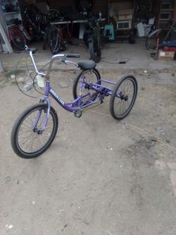 Three Wheeler ,Tricicle