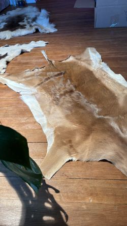 Impala Pelt