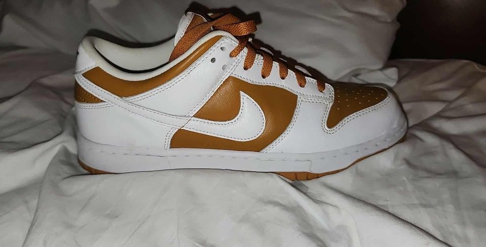 Mens Reverse Curry Nike Dunk Lows