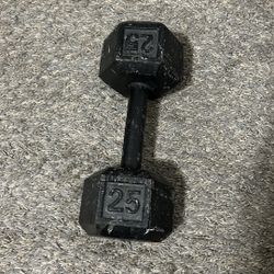 25 Lb Dumbbell