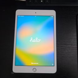 Ipad mini