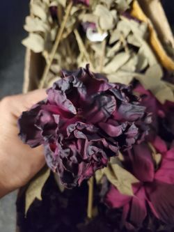 Artificial Dry Single Peony 