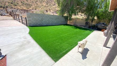 Artificial Pet Turf