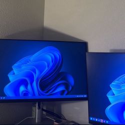 Dell Monitors