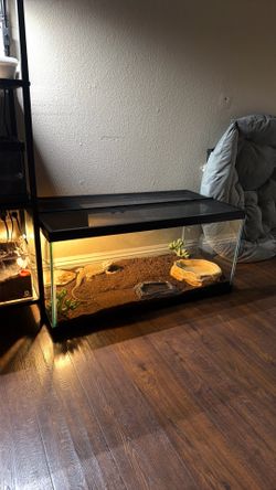 Tank n everything in it F 7 years old