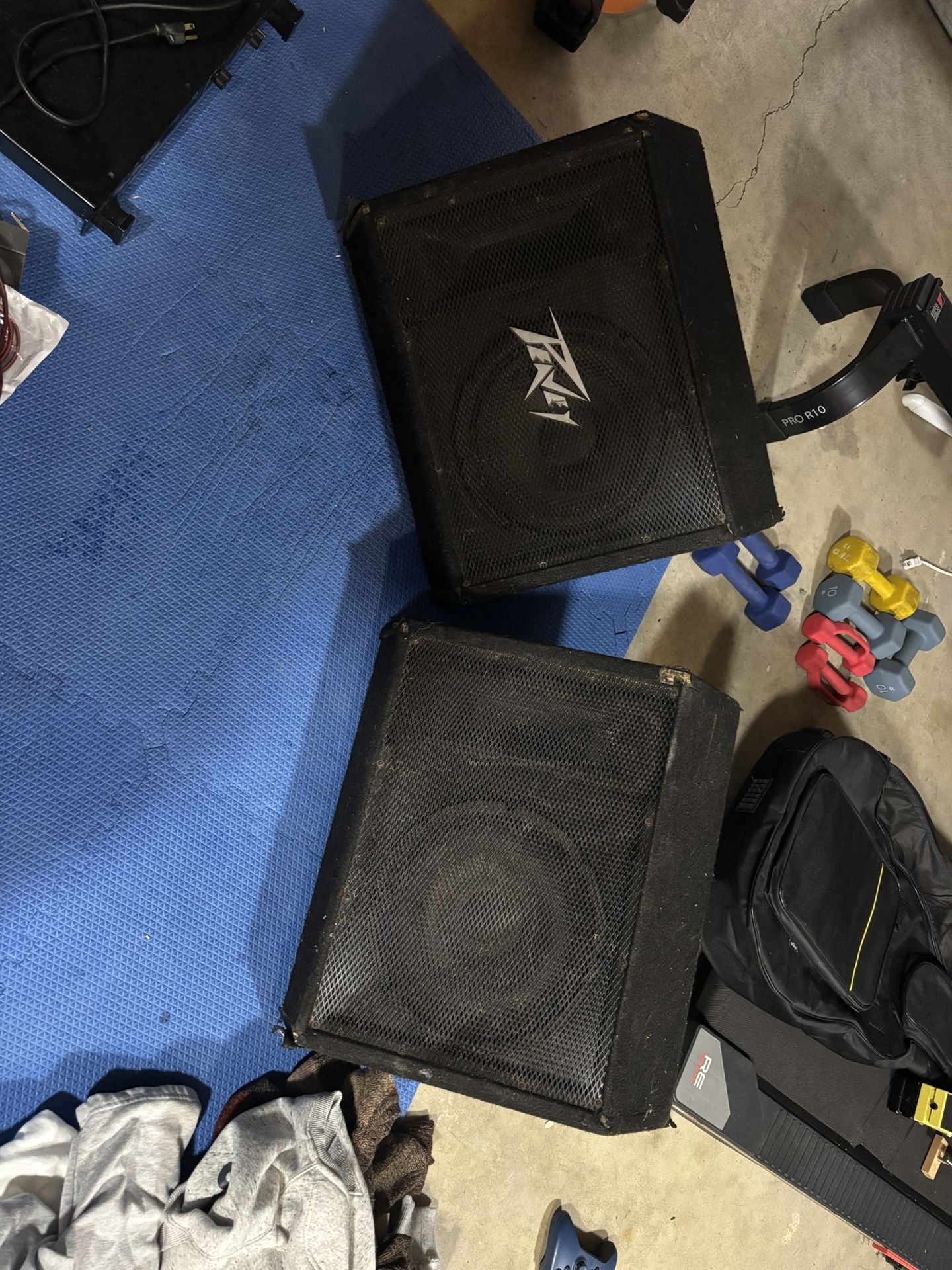 Peavey 112TI Passive Monitors