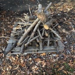 Peach Tree-Smoking Wood Barbecue Wood Cooking Wood