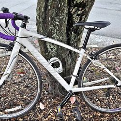 Women’s Specialized Road Bike, Size 48