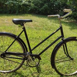 Raleigh Robinhood Cruiser Bike