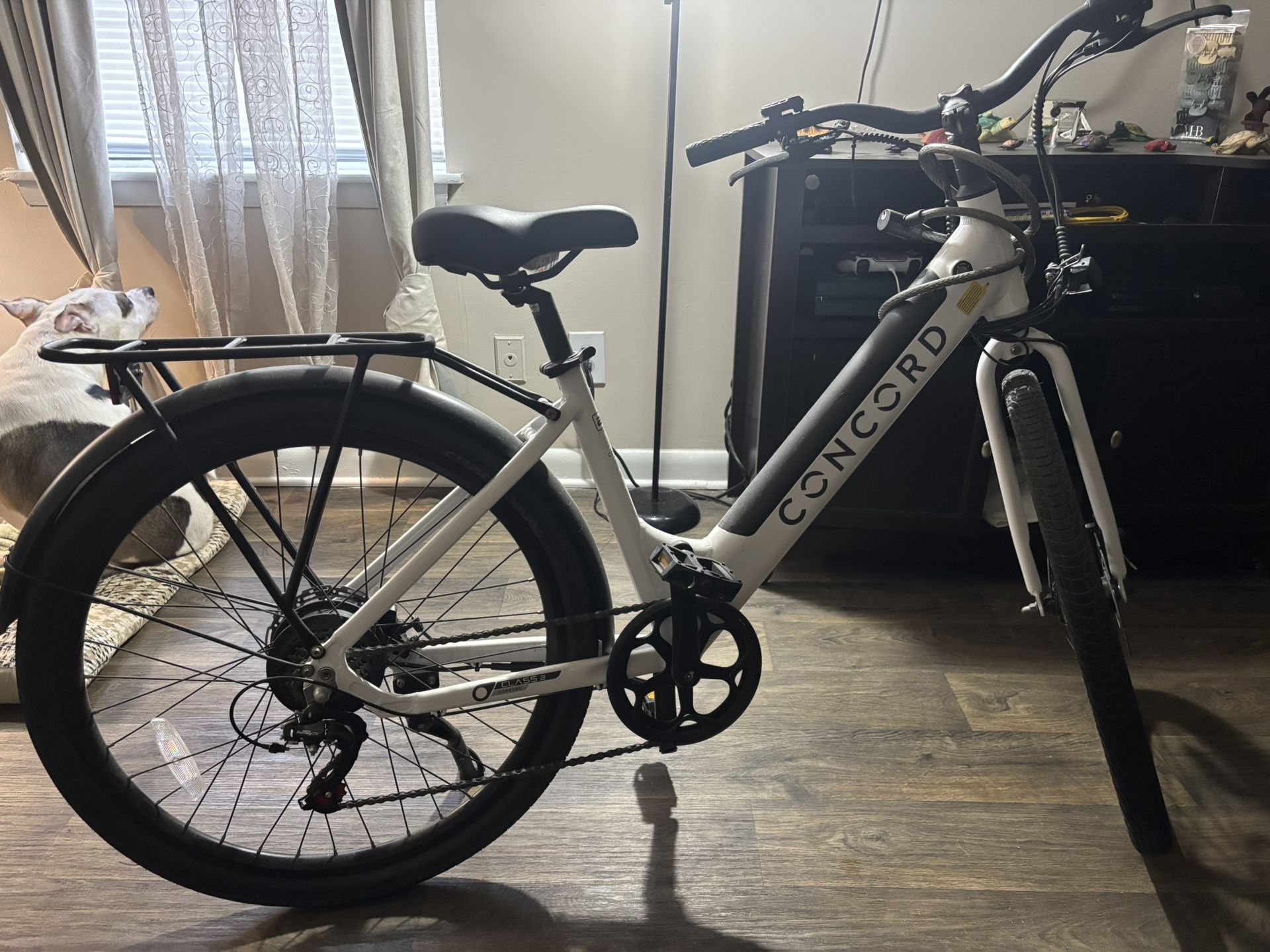 Electric CONCORD Bike