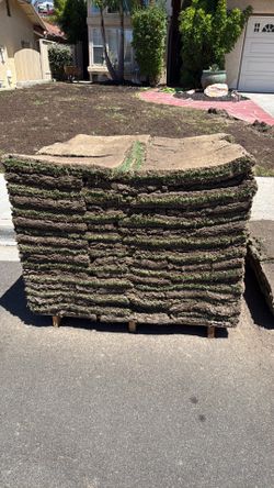 Grass SOD 500 sq ft grass