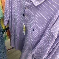 Purple Polo Stripes
