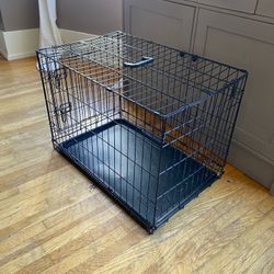 Black Dog Crate
